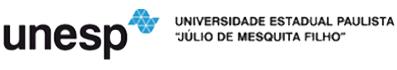Unesp - Universidade Estadual Paulista Júlio de Mesquita Filho